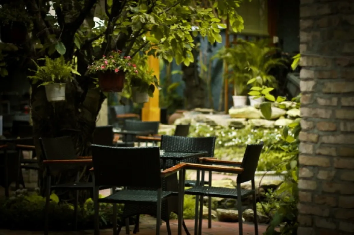 Cafe Sân Vườn Tân Bình: Top 8 Địa Điểm Không Thể Bỏ Lỡ